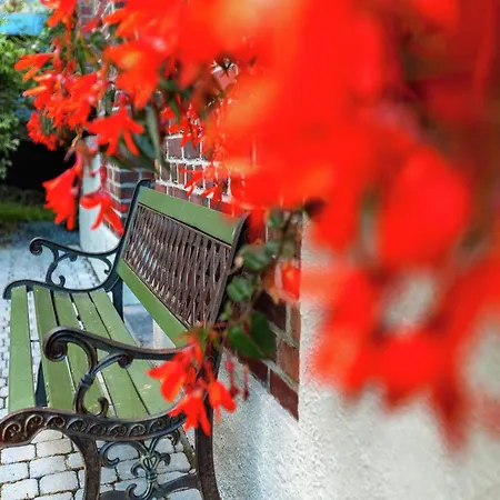 Peaceful Garden Stay, 말메디