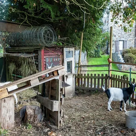 Ferienhaus Peaceful Garden Stay,